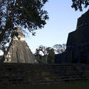1701-Tikal Pyramids